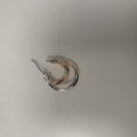 CS1233/2025 EARRING GOLD/SILVER